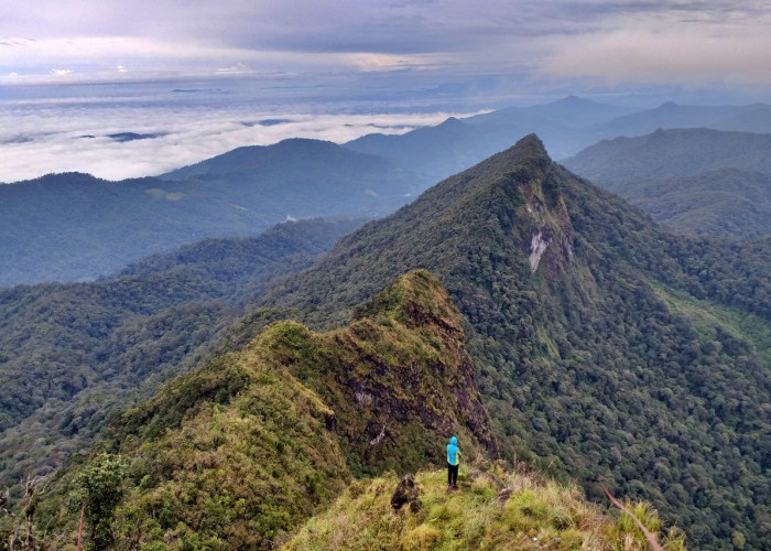 Tak Kalah Indah! di Indonesia Ternyata Masih Ada Gunung Yang Jarang Didaki, Gunung Apakah Itu?