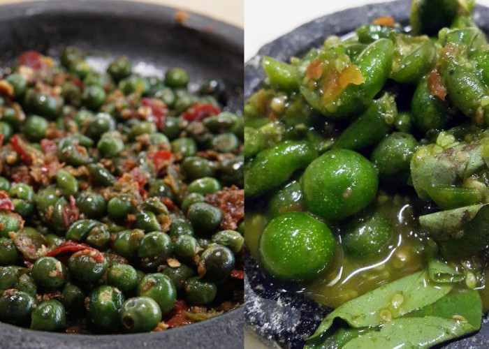 Inilah Resep Sambal Leunca, Enak Dan Bikin Nambah Nasi!