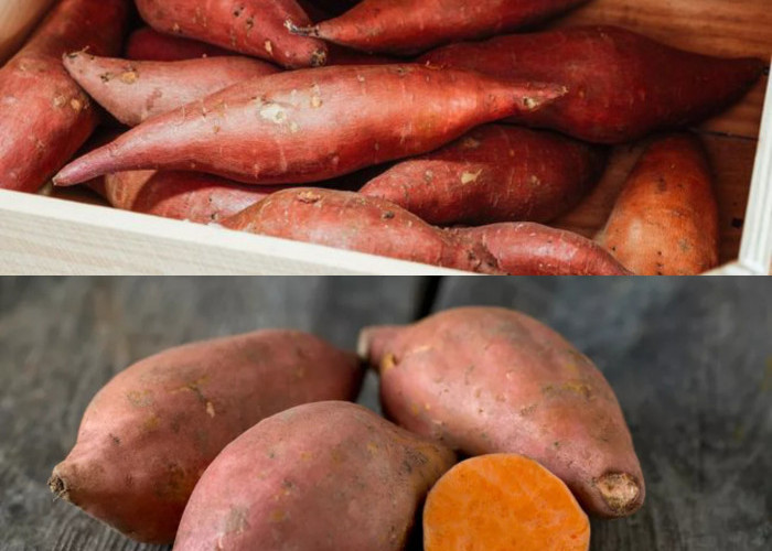 Lebih dari Sekadar Makanan Pengganjal Lapar, Ini Manfaat Ubi Jalar bagi Kesehatan yang Jarang Diketahui