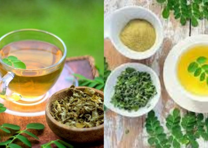  Inilah Manfaat Teh Daun Kelor Untuk Kesehatan Tubuh Agar Tidak Gampang Sakit!