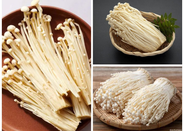 9 Manfaat dan Kandungan Nutrisi Pada Jamur Enoki untuk Kesehatan!