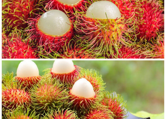 Manfaat Buah Rambutan bagi Kesehatan Tubuh: Sumber Vitamin C, Serat, dan Antioksidan Alami!