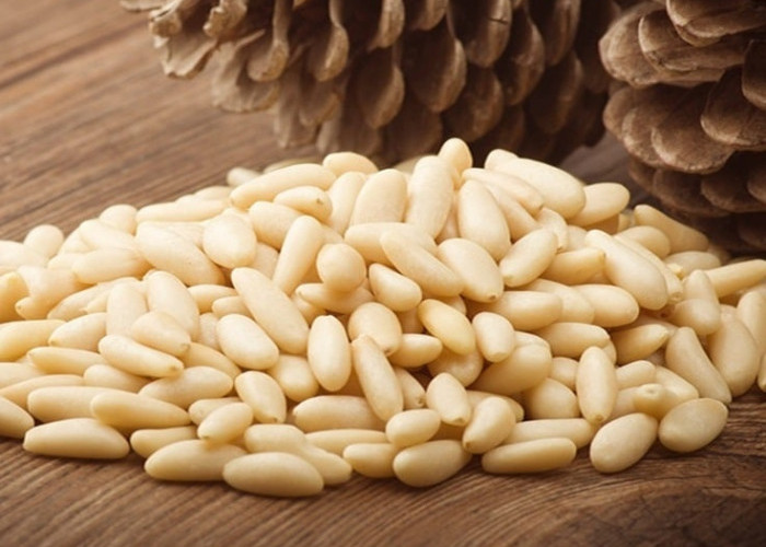 Jarang Diketahui, Ini 5 Manfaat Bagus Dari Kacang Pinus! 