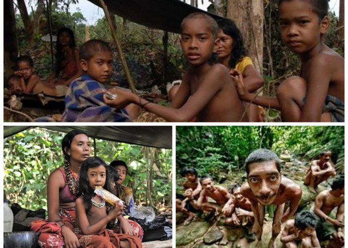 Menelusuri Sejarah Suku Anak Dalam: Jejak Kehidupan Orang Rimba di Tengah Hutan Sumatera!