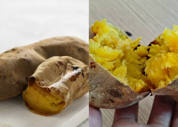 Khasiat Ubi Cilembu: Sehatkan Pencernaan dan Lindungi Tubuh dari Risiko Kanker!