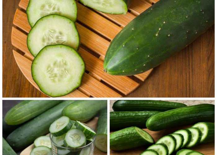 8 Manfaat Menakjubkan Mentimun bagi Kesehatan Tubuh yang Perlu Anda Ketahui!