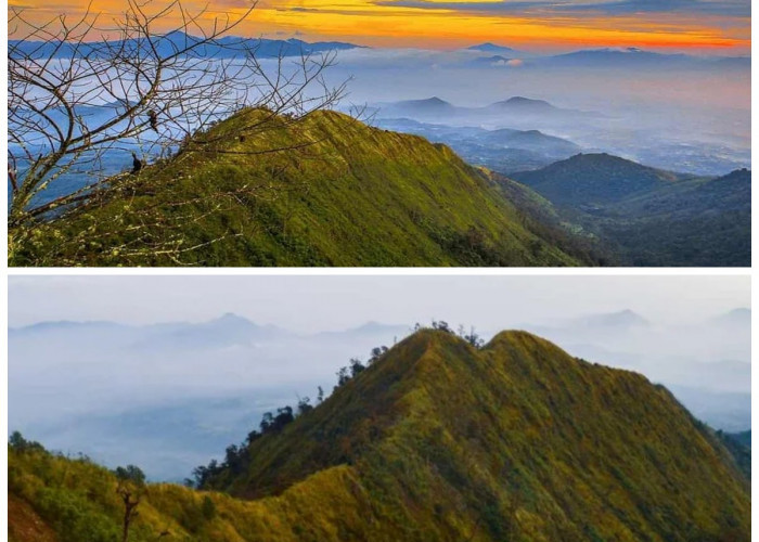 Menelusuri Sejarah Gunung Puntang: Jejak Masa Lalu di Balik Keindahan Alam!