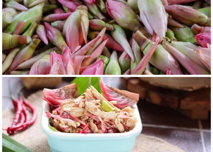 Rahasia Kesehatan dari Kecombrang: 8 Manfaat yang Wajib Kamu Tahu