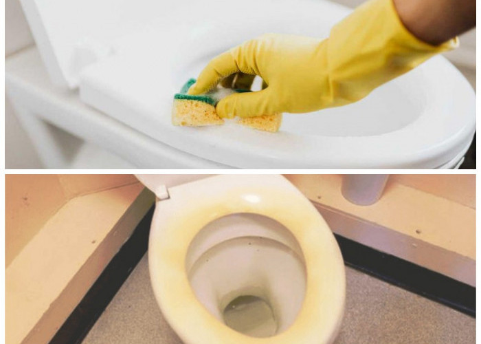 Cara Praktis Membersihkan Kloset: Ampuh Hilangkan Kerak Kuning Membandel