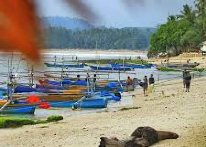  Pantai Pangubayan Bengkulu, Wisata Laut Wajib Masuk List Liburan Akhir Pekan! 