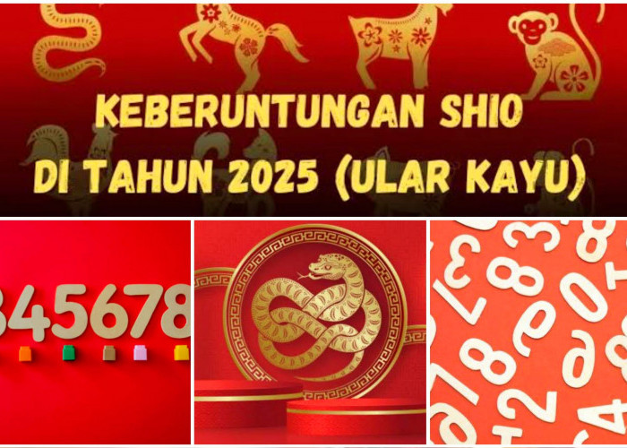 Catat! Angka Keberuntungan 12 Shio di Tahun Ular Kayu 2025