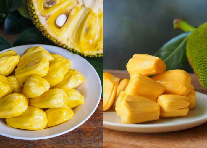 Menurunkan Gula Darah dengan Nangka, Fakta atau Hanya Isu Belaka?