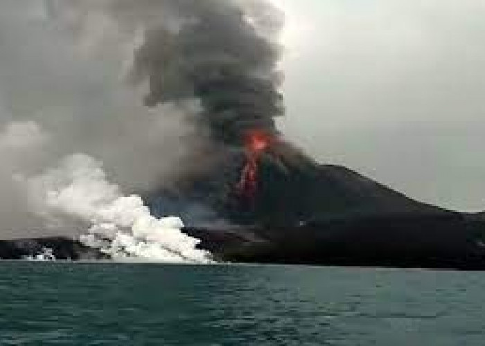 Gunung Anak Krakatau Semburkan Abu Vulkanik