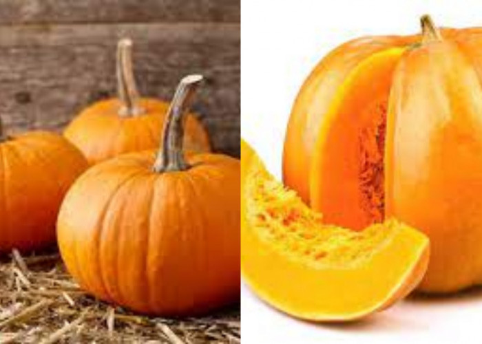 Labu Kuning: Si Lembut Bergizi Yang Kaya Manfaat Untuk Kesehatan Tubuh