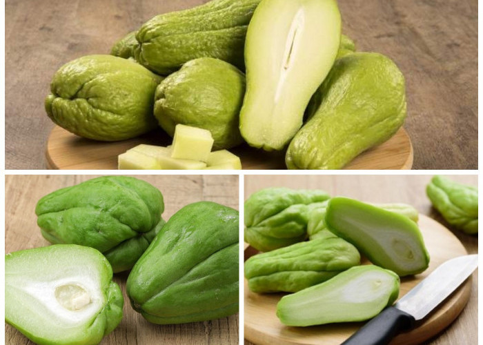 Manfaat Labu Siam bagi Kesehatan Tubuh: Kandungan Gizi, Khasiat, dan Cara Mengolahnya!