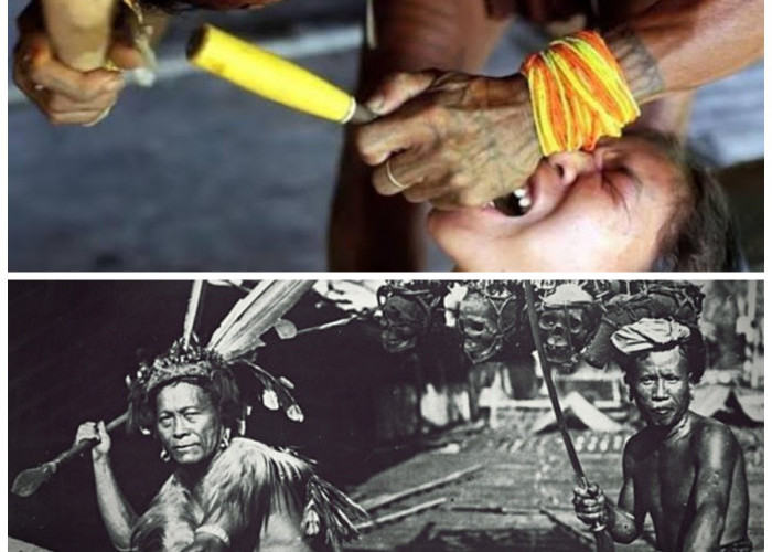 Menelusuri Keanekaragaman Budaya: Tradisi-Tradisi Unik yang Hanya Ada di Indonesia
