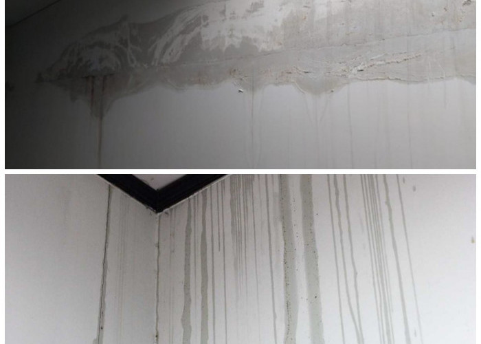 Anti Ribet! 5 Cara Ampuh Atasi Dinding Rembes Tanpa Perlu Bongkar Total