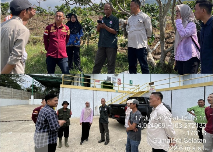 Dirjen Kekayaan Intelektual Tinjau Kebun Pengembangan Kopi Raden Kuning Pagar Alam