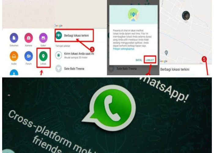 Panduan Lengkap, Cara Melihat Kontak yang Sering Dihubungi di WhatsApp Pasangan