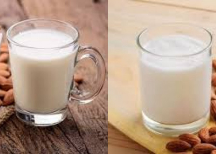 Yuk Intip! 8 Manfaat Susu Almond dan Cara Mudah Membuatnya Disini!
