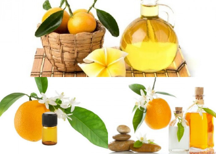 Neroli oil, Dari Bunga Pohon Jeruk Berjenis Citrus Aurantium, Manfaat Untuk Kecantikan dan Kesehatan!