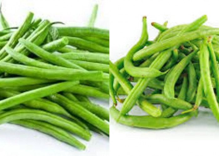 Inilah Kandungan Gizi Dan Manfaat Dari Buncis Ynag Perlu Kalian Ketahui!