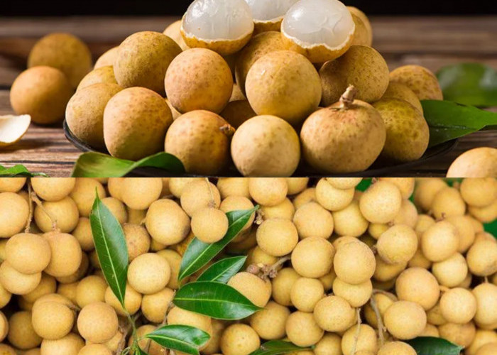 Klengkeng: Buah Manis yang Penuh Nutrisi, Ini Segudang Kebaikannya untuk Kesehatan Tubuh