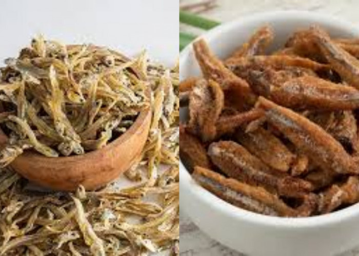 Jarang Diketahui Teryata Ini Guys Manfaat Ikan Teri Untuk Kesehatan Tubuh!