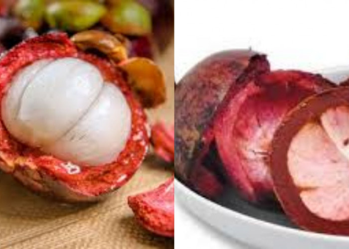 Rahasia Sehat dari Kulit Manggis: Manfaat Luar Biasa dan Cara Mengonsumsinya!