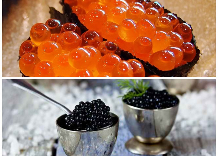 Hidangan Mewah yang Bergizi: Manfaat Kaviar untuk Kesehatan Anda