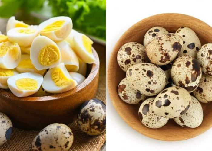 Manfaat Telur Puyuh yang Sering Terlewat, Baik untuk Anak Hingga Dewasa!