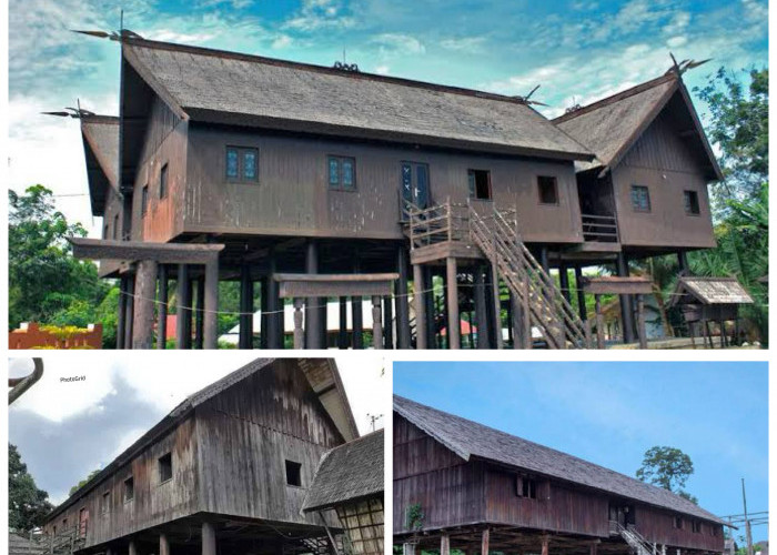 Sejarah Rumah Adat Betang: Simbol Kebersamaan dan Kearifan Lokal Masyarakat Dayak!