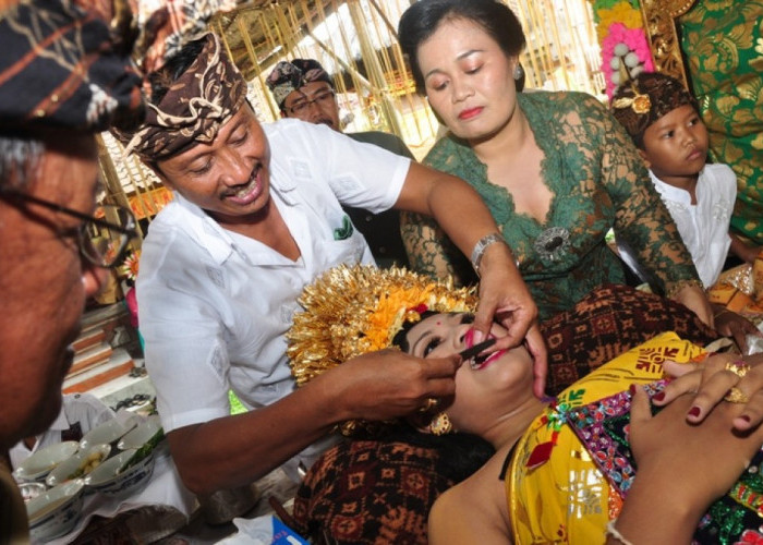 Tradisi Aneh Di Indonesia, Bebas Pilih Calon Atau Bersuami?