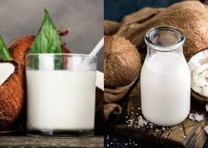 Simak Inilah Manfaat Santan Kelapa Bagi Kesehatan Yang Harus Kalian Ketahui!