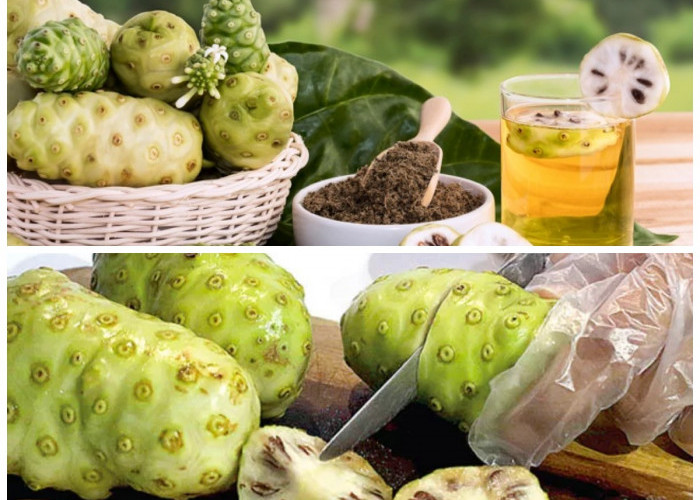 7 Manfaat Buah Pace bagi Kesehatan Tubuh: Rahasia Herbal Alami yang Kaya Khasiat!