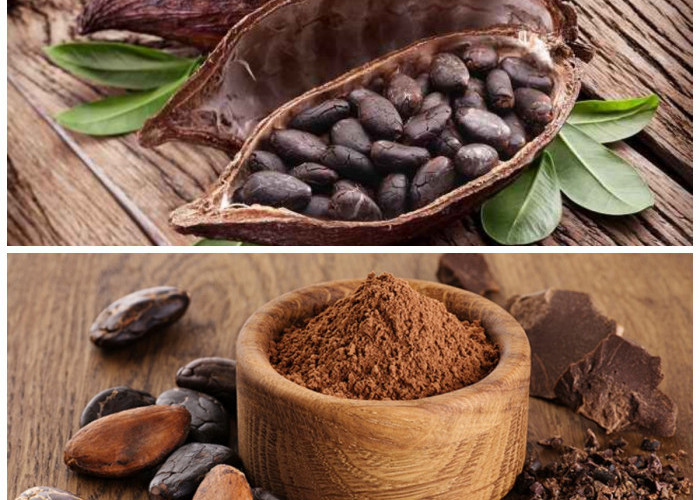 Manfaat Kakao bagi Kesehatan: Dari Perlindungan Jantung hingga Peningkat Mood Alami!