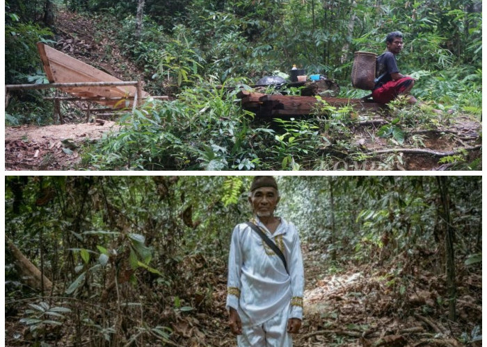 Jejak Kearifan Lokal: Peran Suku Mapur dalam Melestarikan Hutan dan Alam Bangka