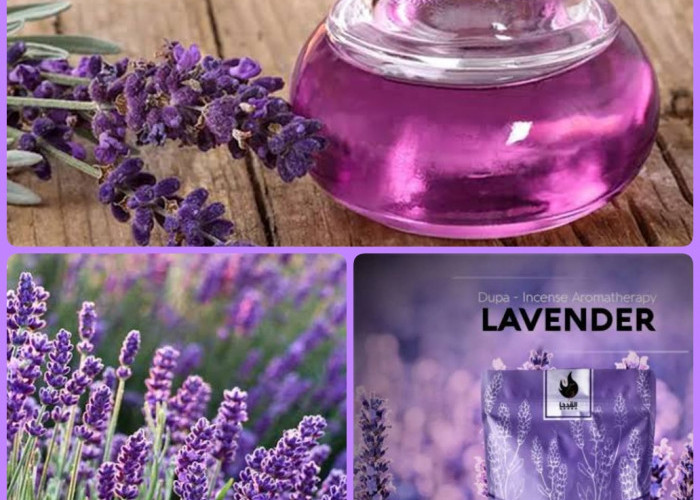 Segudang Manfaat Bunga Lavender dari Aromaterpi - Kecantikkan