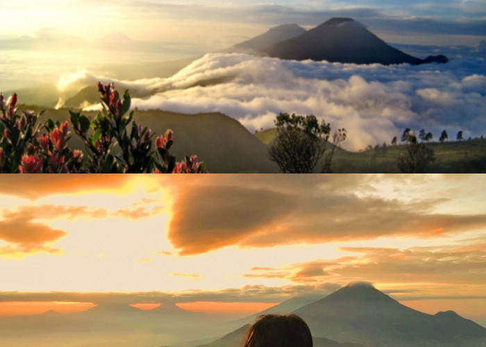 Menikmati Petualang Seru dengan Keindahan Alamnya! Mari Mengenal Sejarah Gunung Prau 