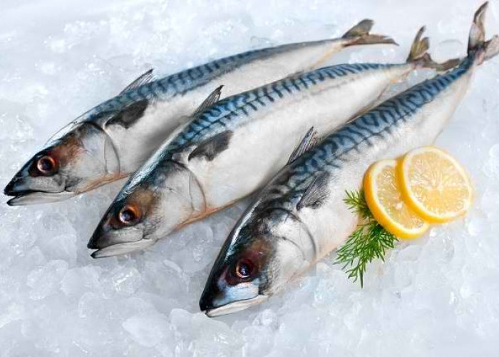 Cegah Anemia! Berikut 5 Khasiat Lainnya Konsumsi Ikan Tongkol Baik untuk Kesehatan