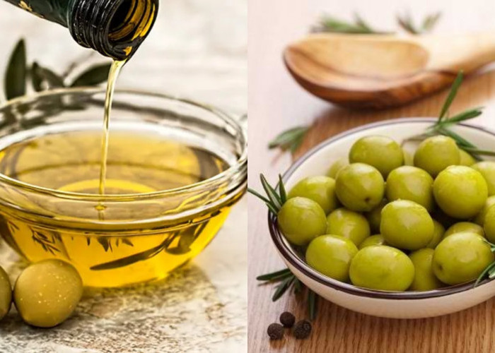 Inilah Kandungan Gizi Minyak Zaitun Dan Manfaatnya Yang Harus Kalian Tahu! 