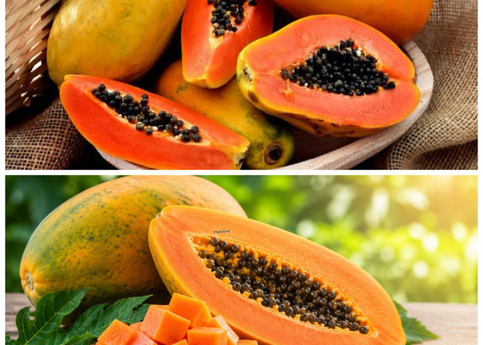  Manfaat Buah Pepaya untuk Kesehatan Tubuh, Bantu Lancarkan Pencernaan hingga Jaga Daya Tahan