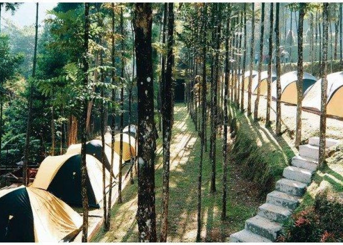 Bingung Cari tempat Camping? Cobain Camping di 5 Tempat yang Ada di Bogor 