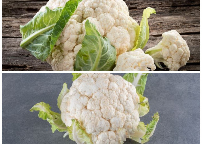 Kembang Kol, Si Superfood Rendah Kalori yang Kaya Manfaat untuk Tubuh!