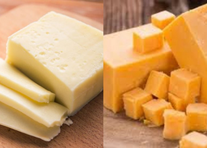 Yuk Simak! Berbagai Jenis Keju dan Manfaatnya untuk Kesehatan