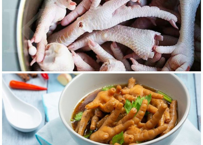 Rahasia Kandungan Nutrisi dan Manfaat Ceker Ayam untuk Ibu Hamil yang Perlu Diketahui