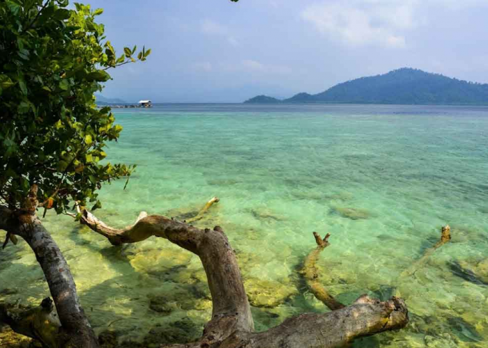 Pesona Pantai Klara, Eksplorasi Surga Wisata di Lampung yang Mengagumkan