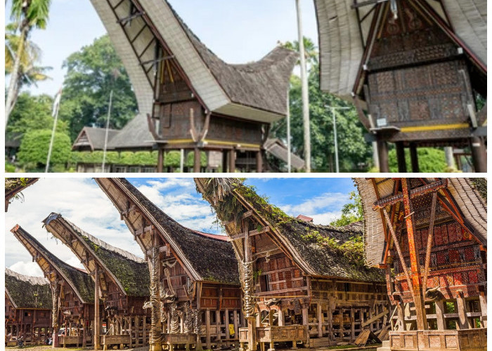 Rumah Adat Tongkonan: Simbol Kebersamaan dan Warisan Leluhur Suku Toraja