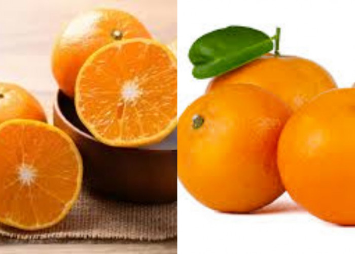 Selain Vitamin C Teryata Ini Guys Manfaat Jeruk Untuk Kesehatan Yang Jarang Diketahui!