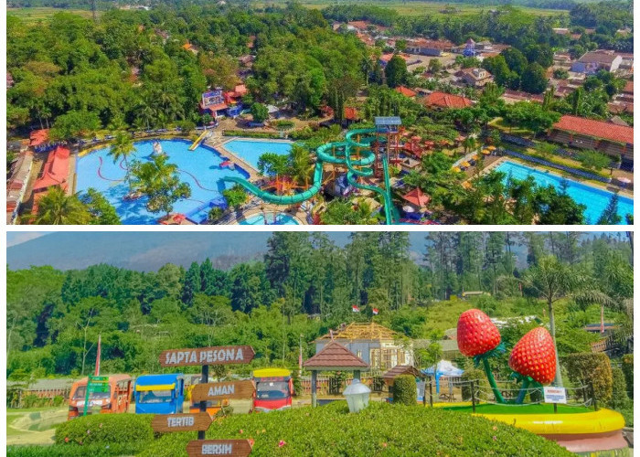 Deretan Tempat Wisata Menarik di Purbalingga, Siap Jadi Destinasi Favorit Saat Liburan!